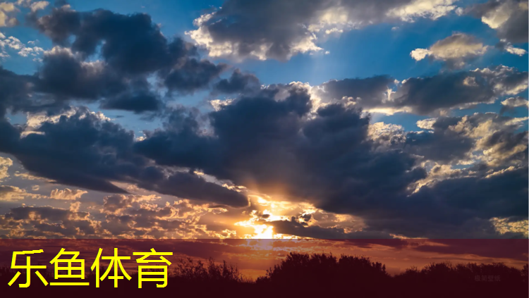 <strong>乐鱼体育官方网站,明察园塑胶跑道</strong>