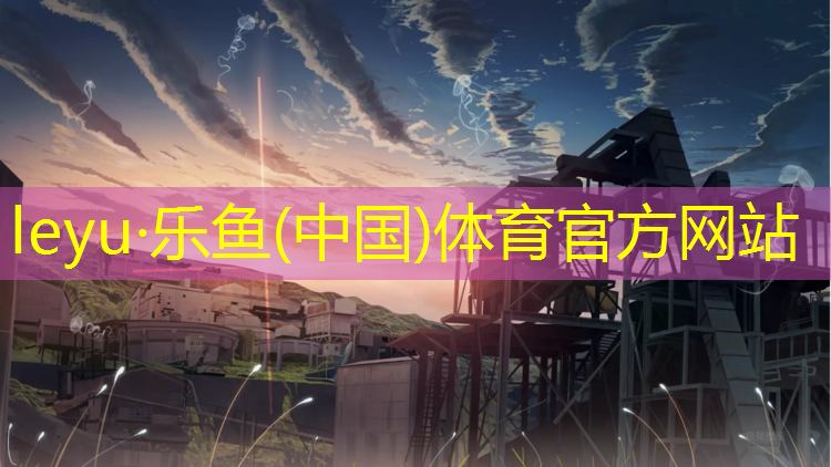 体操用的什么球